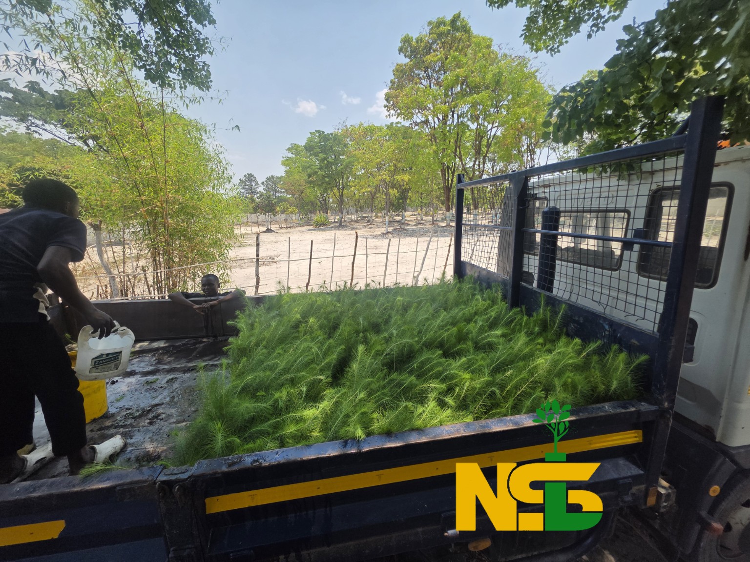 Field planting services at Noble Seedlings Limited